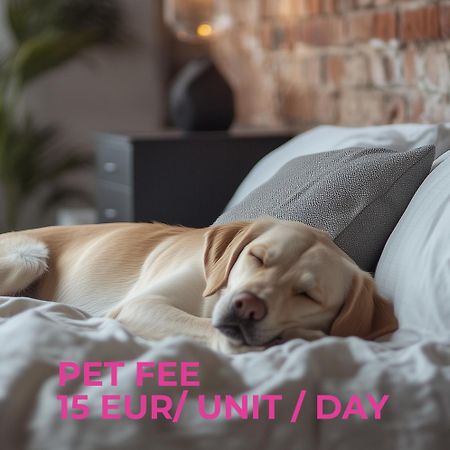 Cute Apartment Siauliai Free Parking 外观 照片